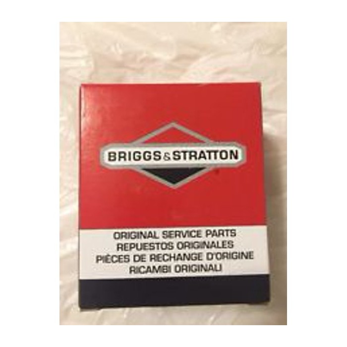 Gaźnik Briggs&Stratton nr 799866